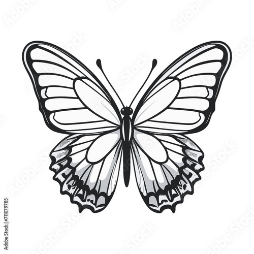 hand drawn art style of butterfly colorful illustration © Rizaldy