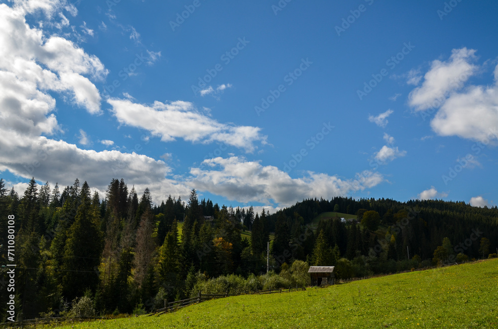 Small rural wooden barn and hilly landscape with meadows and forest under blue sky with clouds on summer day. Carpathian Mountains, Ukraine 