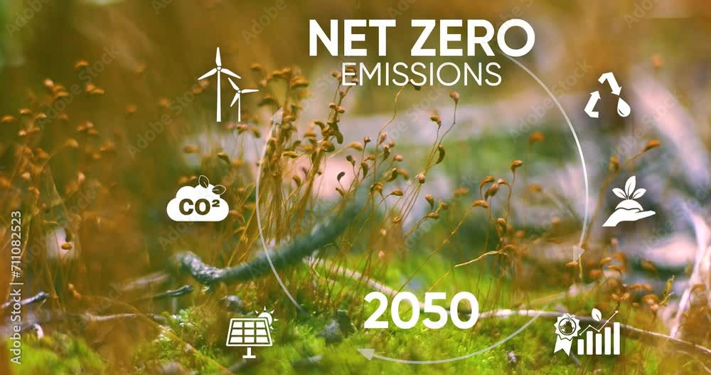 Net zero and carbon neutral concept. Net zero greenhouse gas emissions ...