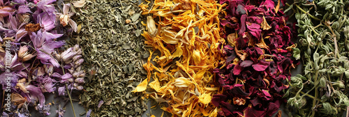 assortment of dry tea, healing herbs in with chamomile and essentials, panorama backgrounds banner. photo