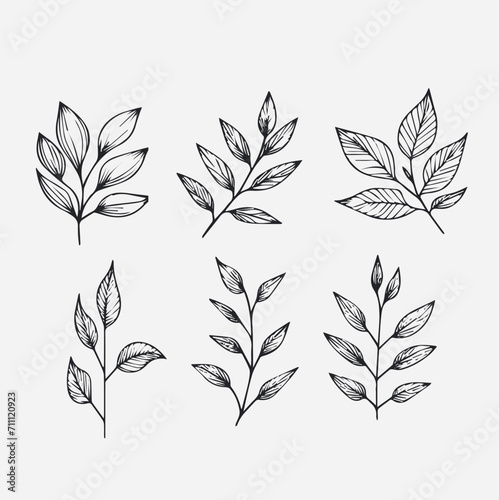 Set of Botanical arrangement of leaves branches and blooming flowers. Vector ornamental herbs and wildflowers for bouquet. Wedding design.vector flowers illustration