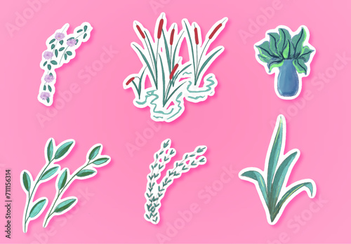 Flower and plant sticker pack png files in Photoshop EPS format