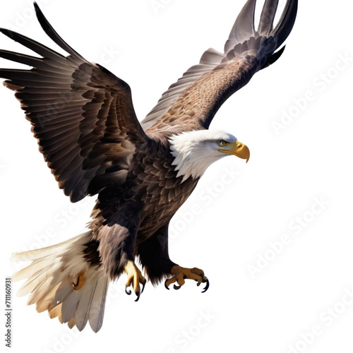 eagle in flight © Vinod