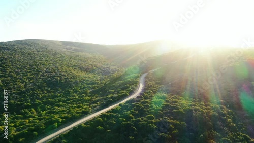 Drone, travel and road with property in forest from above for growth or sustainability on summer landscape. Earth, nature and highway in green environment with labyrinth for adventure or discovery photo