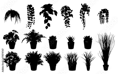 Tropical Plants Silhouette Vector Illustration - Decorative Indoor houseplants in black and white