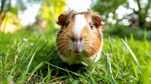 guinea pig food blend  nature-inspired green background  nutritious