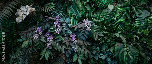 Creative nature green background  tropical leaf banner or floral jungle pattern concept. Banner cover design. 