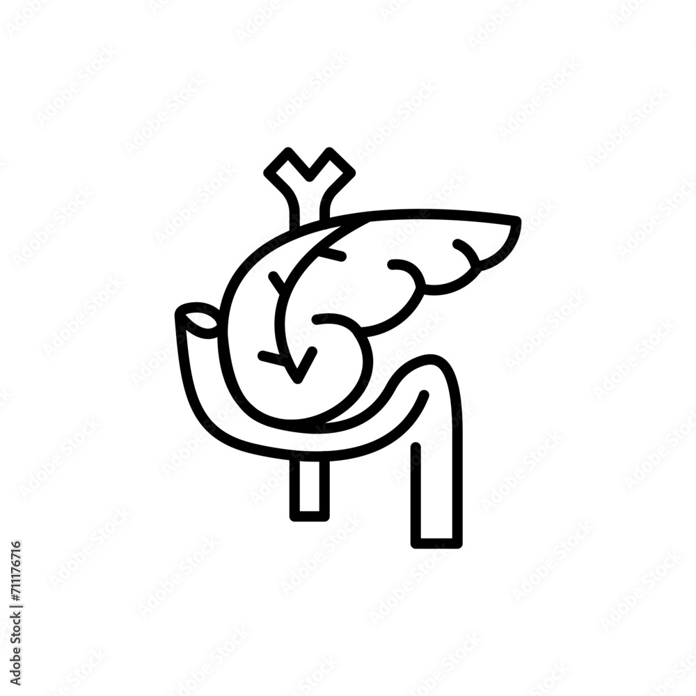 Pancreas outline icons, minimalist vector illustration ,simple transparent graphic element .Isolated on white background Pancreas outline icons, minimalist vector illustration ,simple transparent graphic element .Isolated on white background