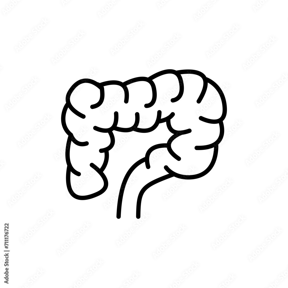 Intestine outline icons, minimalist vector illustration ,simple transparent graphic element .Isolated on white background Intestine outline icons, minimalist vector illustration ,simple transparent graphic element .Isolated on white background