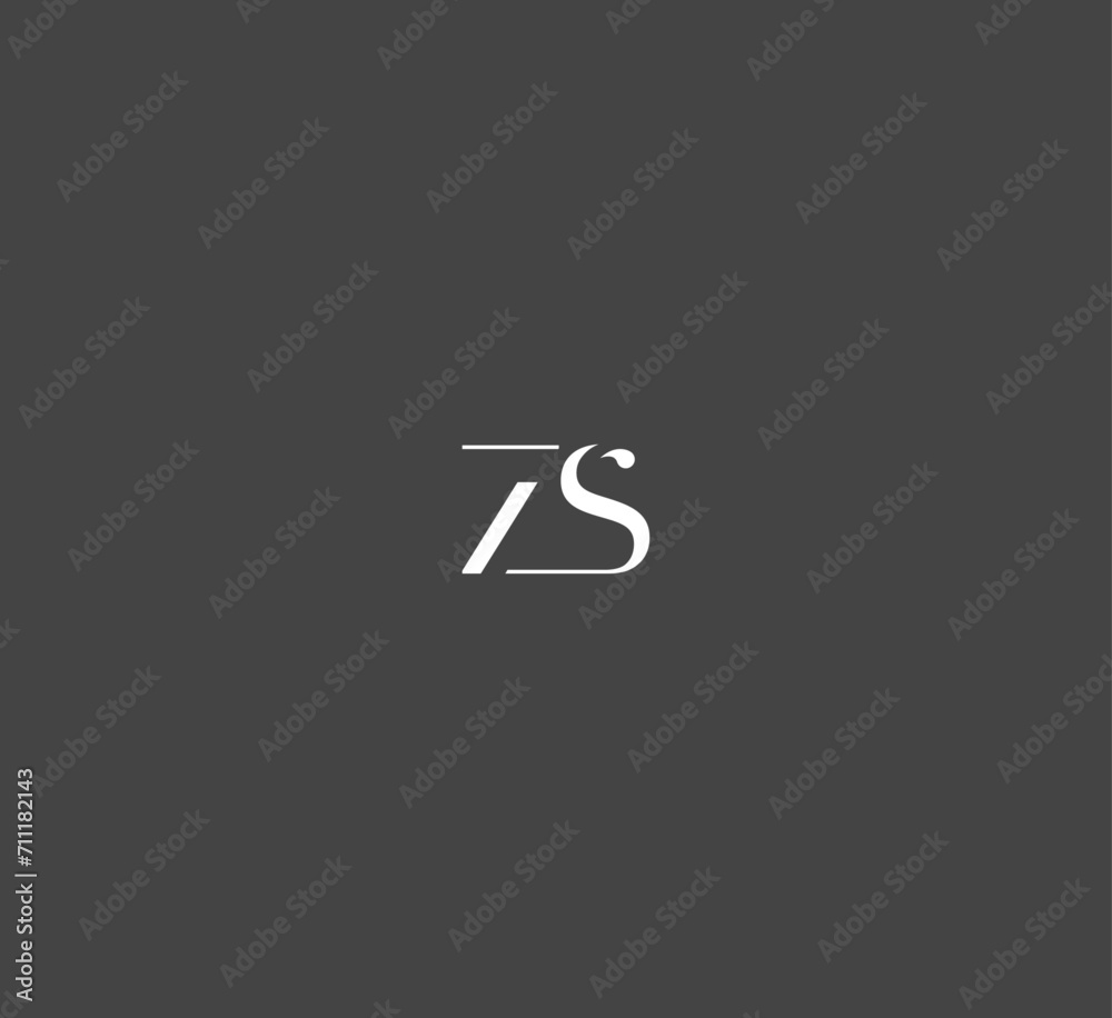 ZS, SZ letter logo design template elements. Modern abstract digital alphabet letter logo. Vector illustration. New Modern logo.