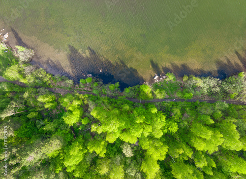 Aerial view of lake or river green shore with forest. Summer season.