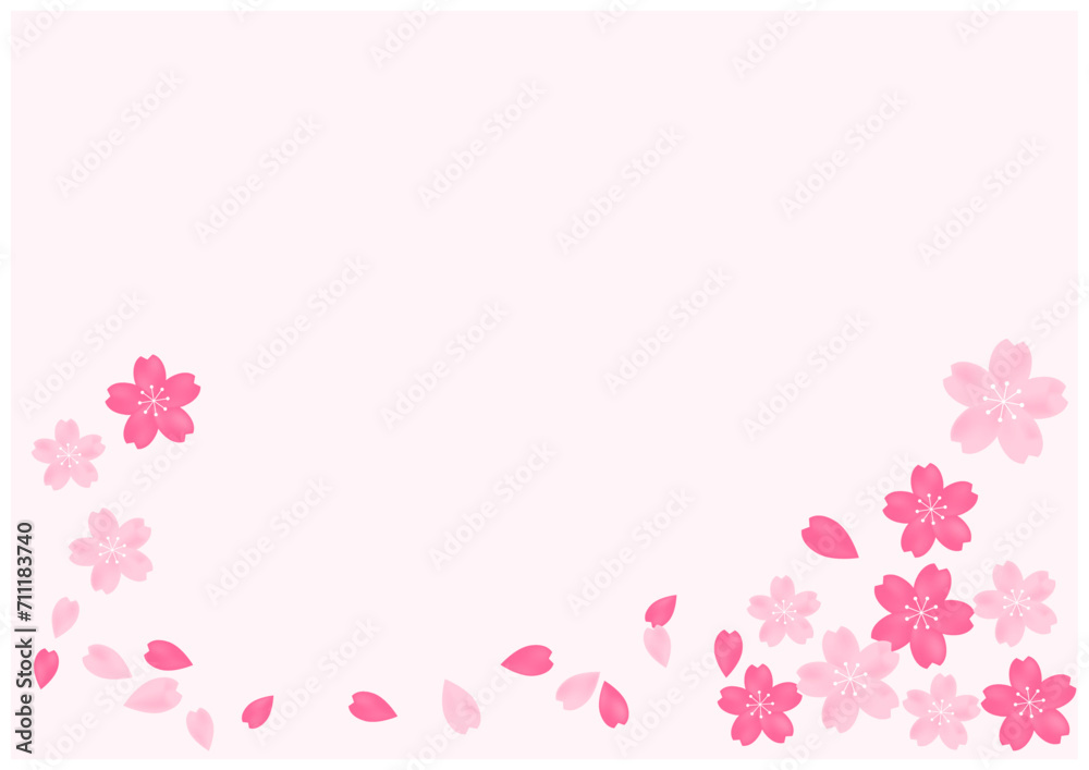 桜吹雪が美しい桜の花の散る春の和風フレーム背景1うすピンク