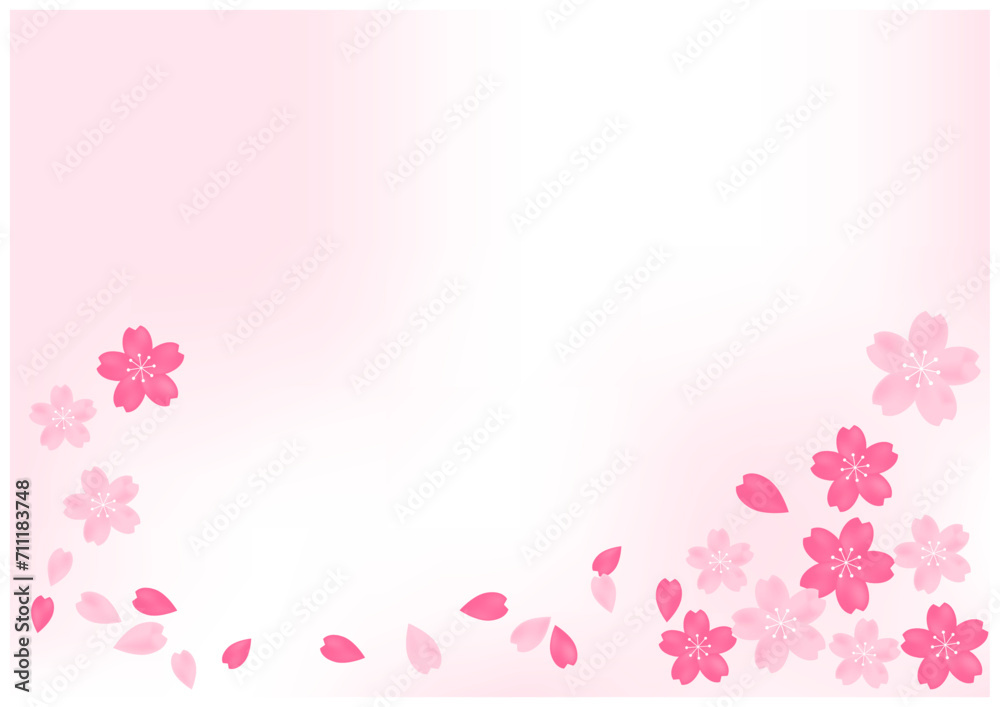 桜吹雪が美しい桜の花の散る春の和風フレーム背景1グラデーション