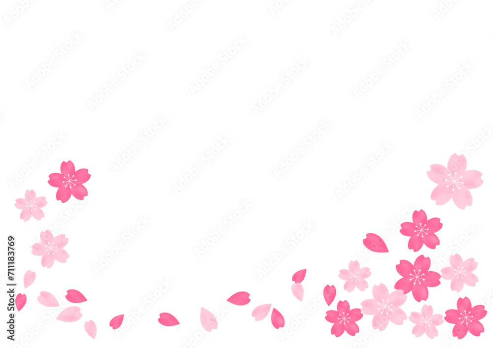 桜吹雪が美しい桜の花の散る春の和風フレーム背景1