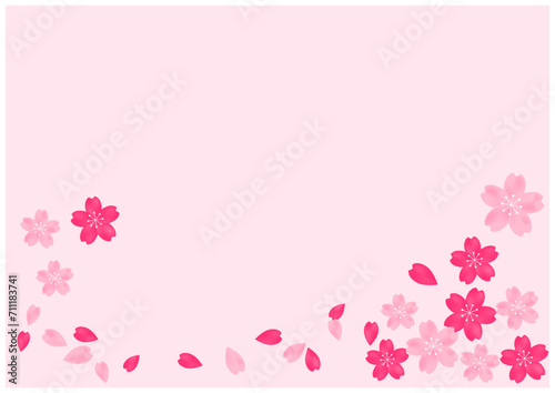 桜吹雪が美しい桜の花の散る春の和風フレーム背景1ピンク