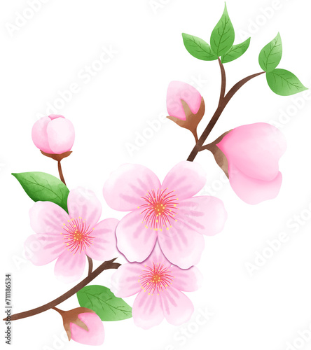 Cherry Blossoms high quality clipart 7 png Elements 