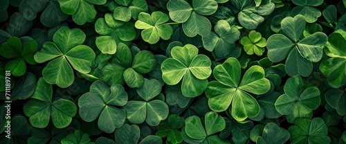 St. Patrick's Day Symbol Green Shamrocks and Four-Leaf Clover in Nature photo