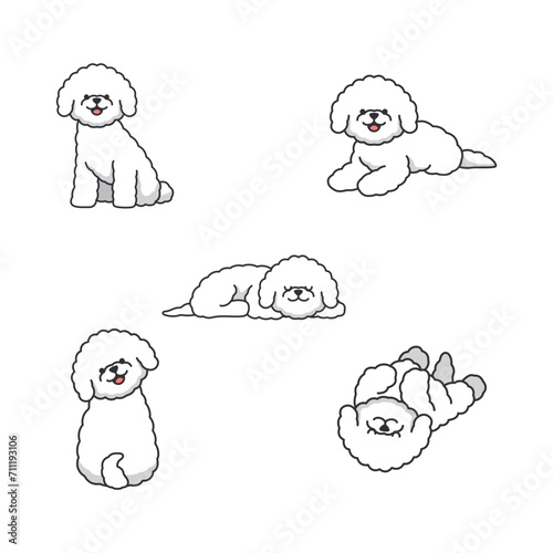 bichon dog set icons in cartoon style. Big collection of bichon dog vector symbol stock illustration
