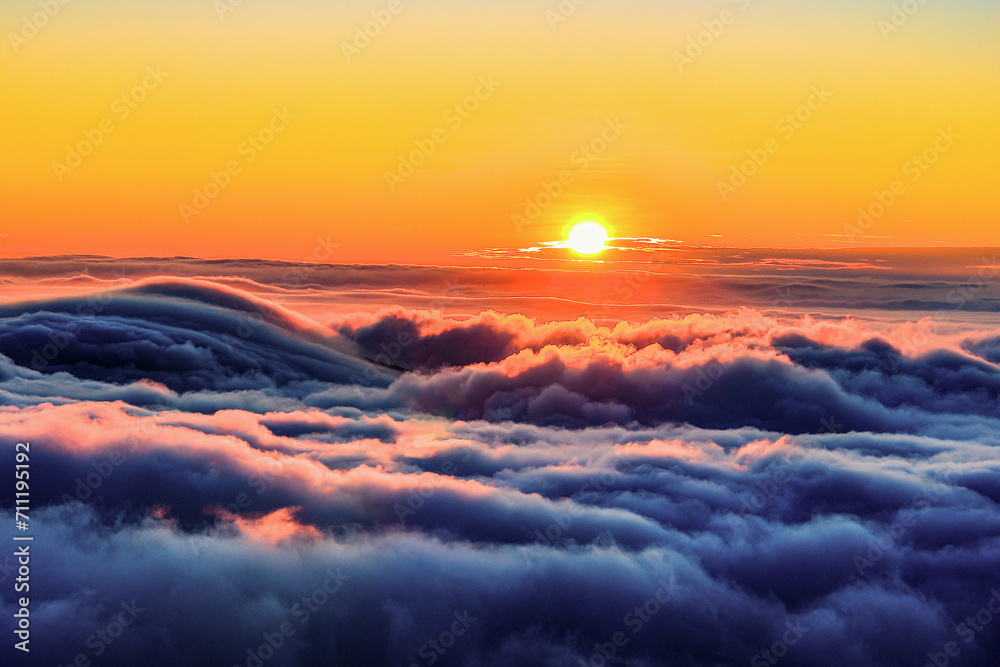 Fascinating sea of clouds and mounta in scenery at sunset Clear golden sky,scenic dreamy view,Close up. in Eryanping Trail,Alishan ,Taiwan.For branding,calender,postcard,screensave,website,cover.