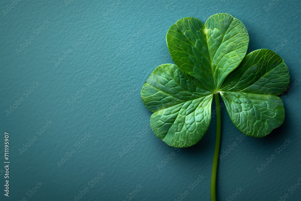 Shamrock isolated on light blue background, for Irish St. Patrick's Day holiday. Good luck shamrock leaf.