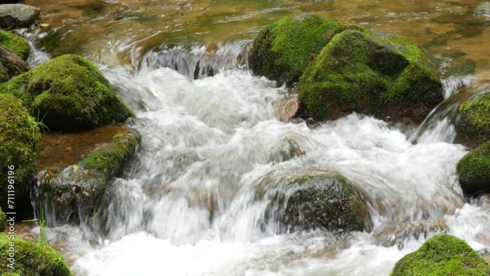 A fast clean spring mountain river stream runs through huge stones covered with green moss A fast clean spring mountain river stream runs through huge stones covered with green moss