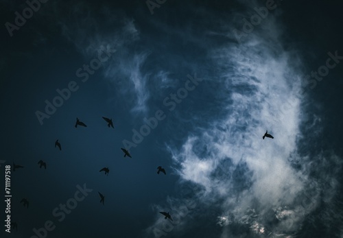 A flock of birds in an ominous sky image for background use © Richard