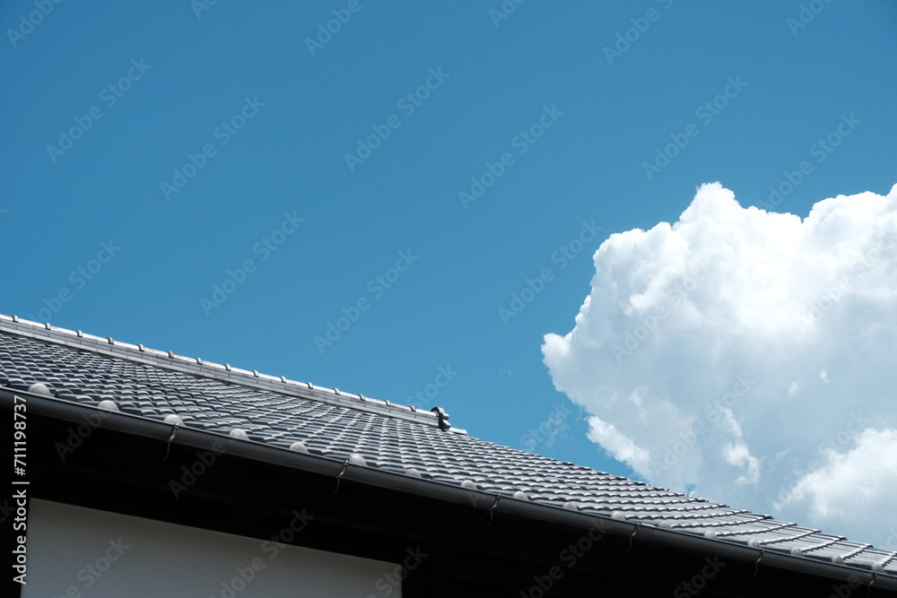 roof and sky