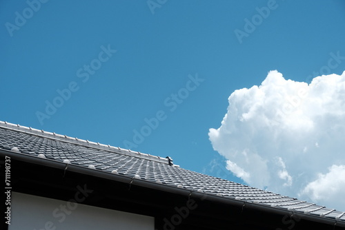 Obraz na płótnie roof and sky w salonie