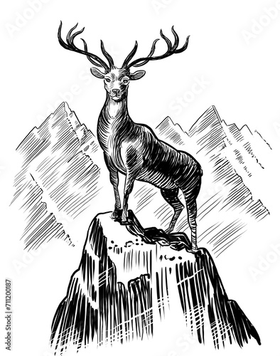 Deer animal on the mountain peak. Retro styled hand-drawn black and white illustration