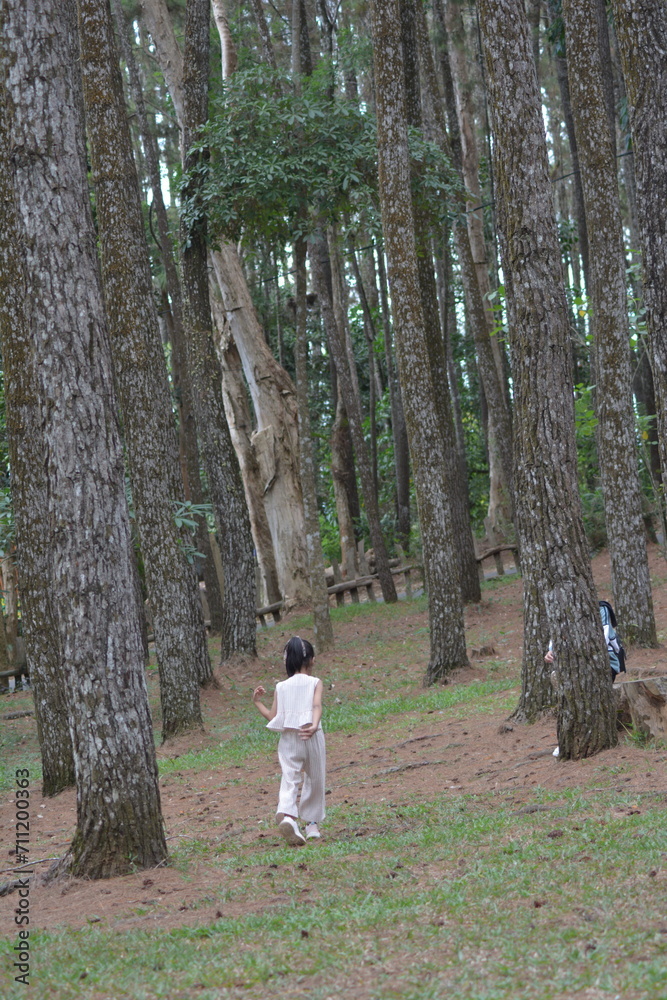 Fototapeta premium photo of a small child in the middle of the trees