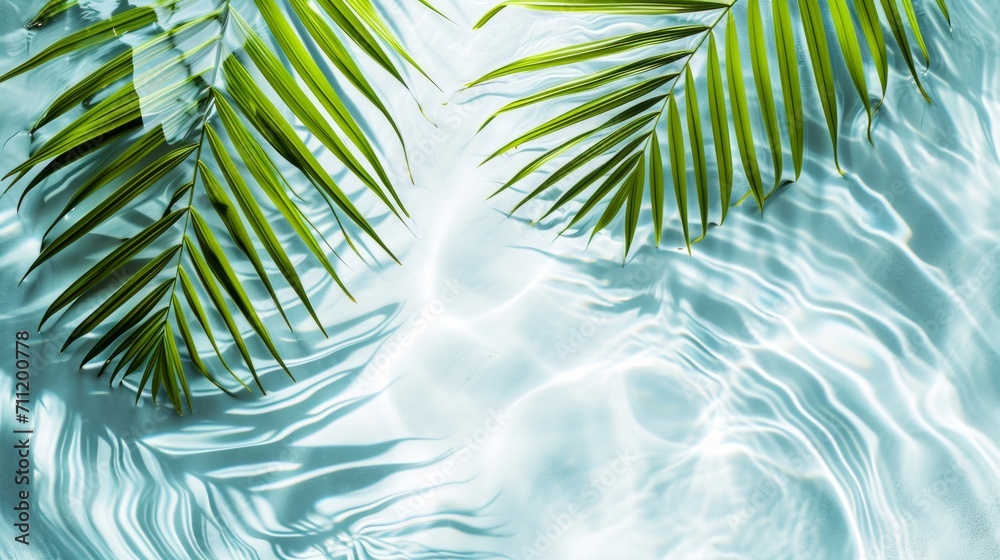 Spa concept with a palm leaf in wavy water. Abstract, transparent tropical water texture surface with palm leaves. top view, beauty backdrop, mockup, spa and wellness, copy space Spa concept with a palm leaf in wavy water. Abstract, transparent tropical water texture surface with palm leaves. top view, beauty backdrop, mockup, spa and wellness, copy space