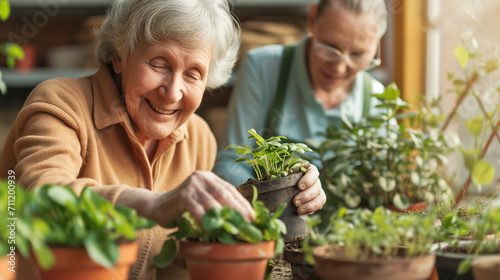 Happy senior woman doing indoor gardening with her friend. Elderly people with activity and hobby after retirement. photo