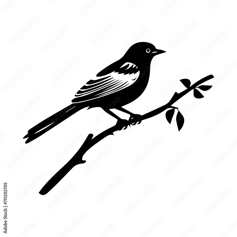 Fototapeta premium Black drongo bird silhouette logo svg vector, drongo icon illustration.