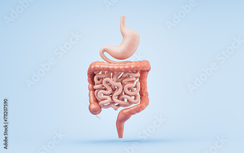 Stomach and intestinal tract, 3d rendering.