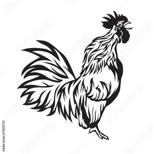 chicken farm, chicken vector, chicken black and white