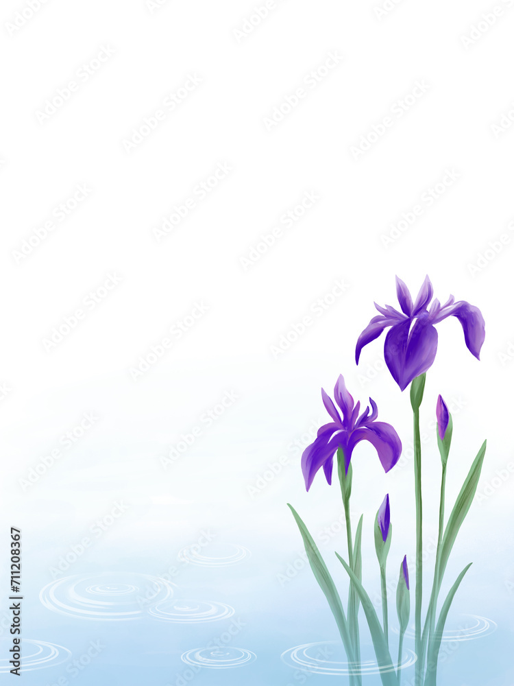 雨降る水辺に佇む紫色の杜若の水彩背景イラスト（縦型フレーム）