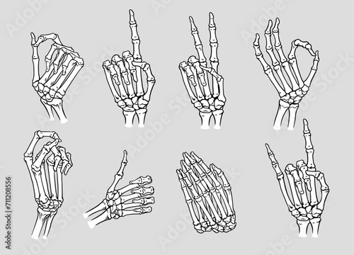 Set of Various skeleton Hand with Different Pose