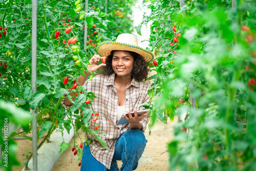 Modern farmers are using innovative technologies and techniques to improve the efficiency and productivity of their farms. This is also true for tomato farms.