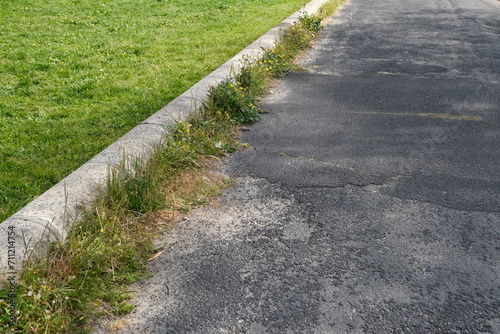 Overgrown Weeds or Wild Grass Along the Roadside Curb Requiring Trimming.