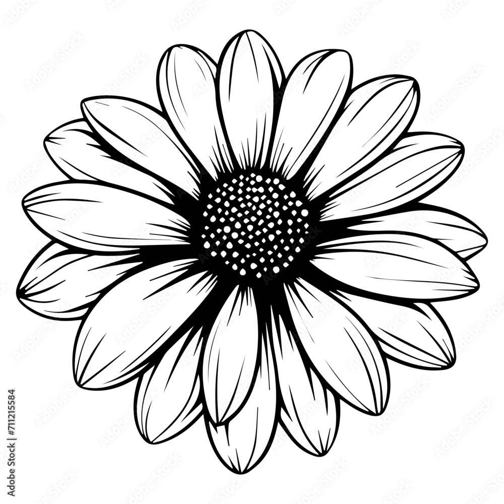 beautiful monochrome, black and white daisy flower
