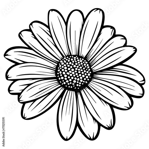 beautiful monochrome, black and white daisy flower