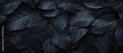 Natural pattern dark green leaf texture background