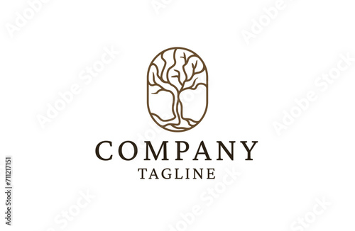 Tree logo icon vector. tree nature illustration flat design