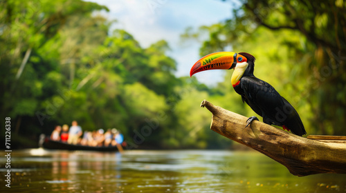 toucan sitting on a branch of a tree with a brightly colored beak