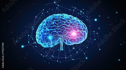 human brain