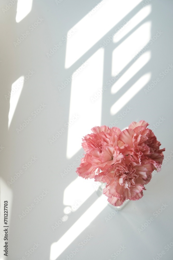 flower in a vase