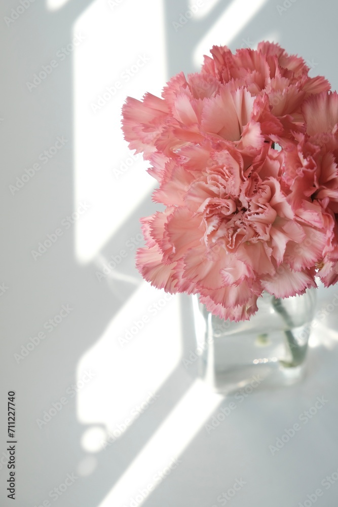 pink flower in vase