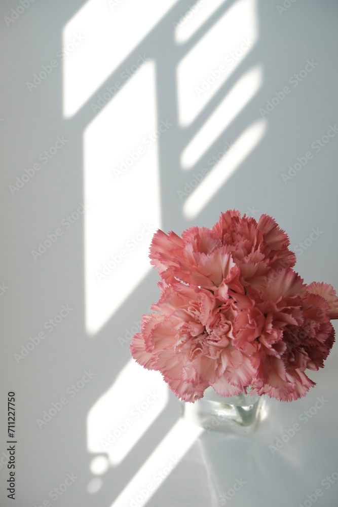 flower in a vase
