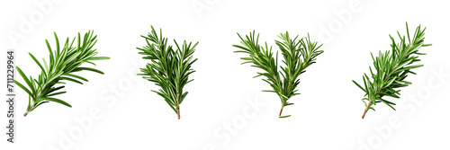 Set of rosemary isolated on a transparent background