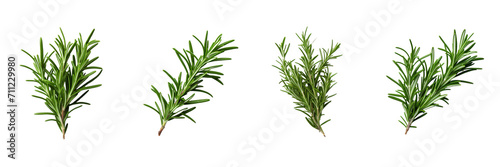 Set of red rosemary isolated on a transparent background photo